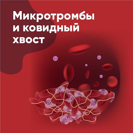 Пандемия. Коронавирус. Россия и мир. Часть 29