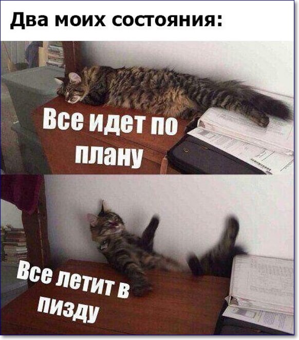 Все идет по