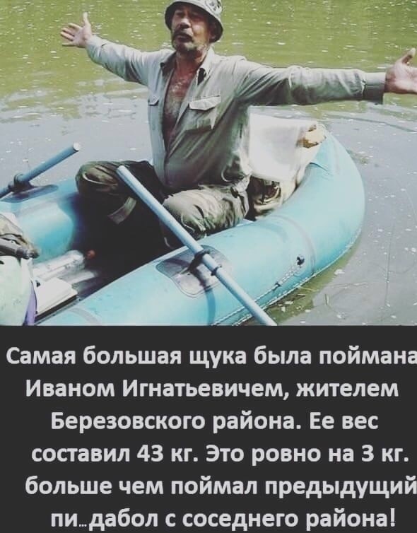 Веселые картинки!