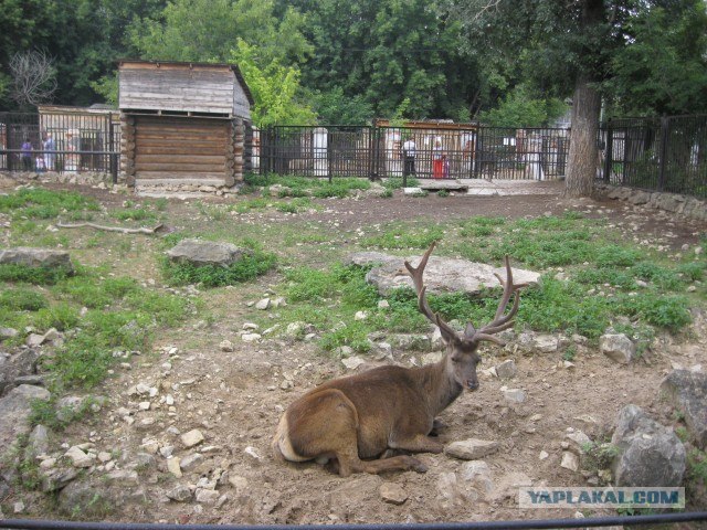 Я люблю Казань!