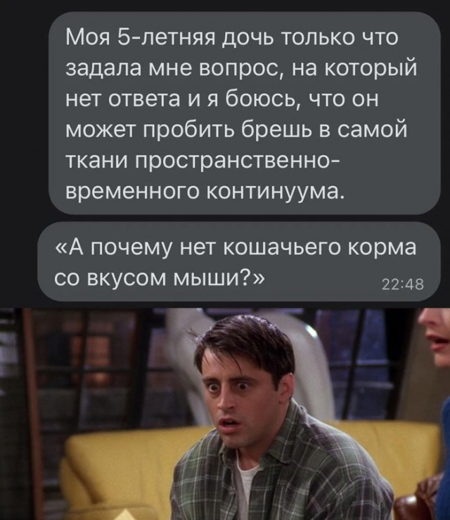 Весёлый полтишок 08.09.22