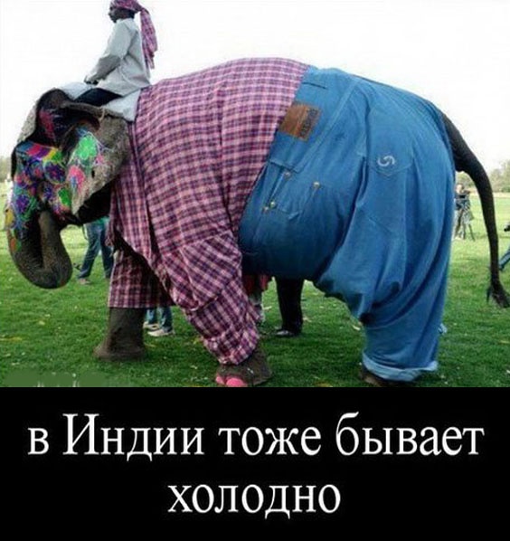 Так себе картинки 28.01.23