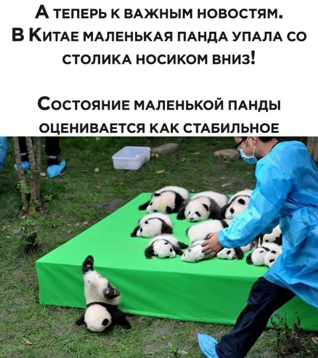 Картинки с надписями (баяны)