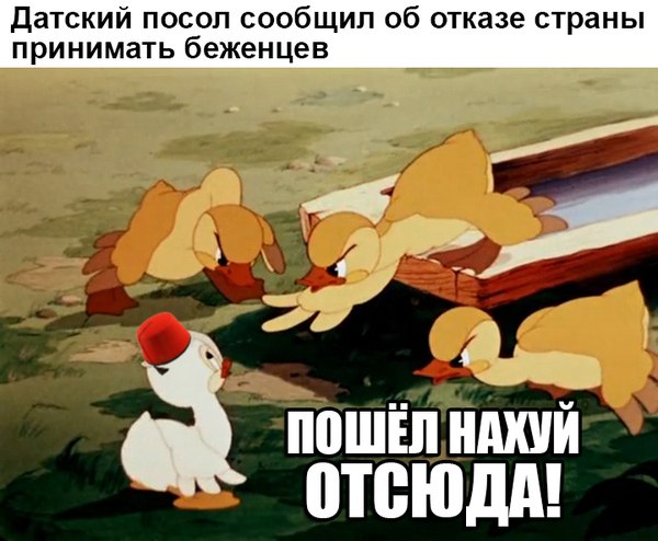 Бояны 8-ми летней выдержки