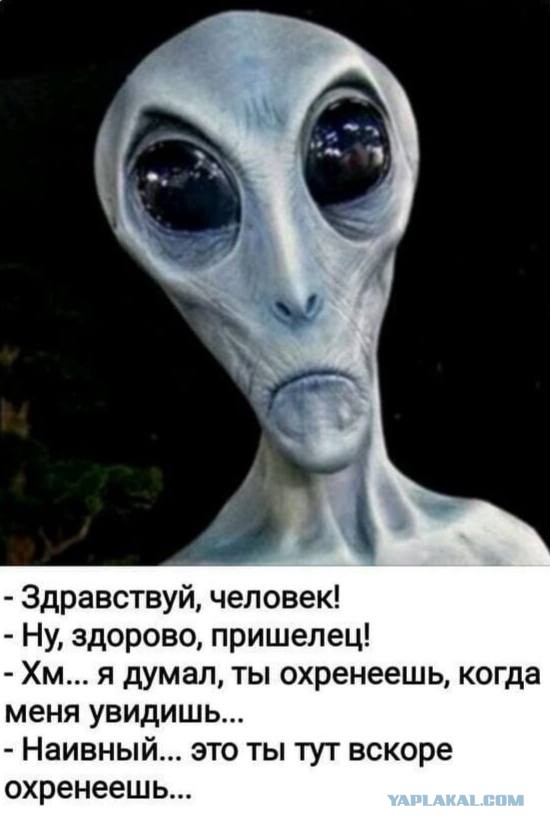 Всего понемногу. От 15.12.23