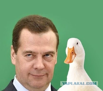"Черт возьми, Медведев был прав"