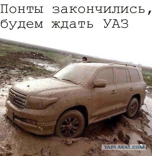 Картинки и буквы 24.06.2024