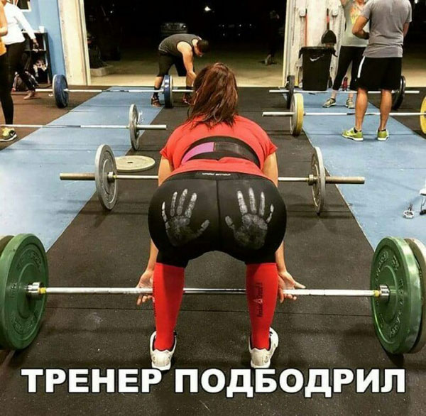 Заключительные баяны на этой неделе