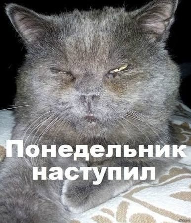 Пусть понедельник не будет столь тяжелым