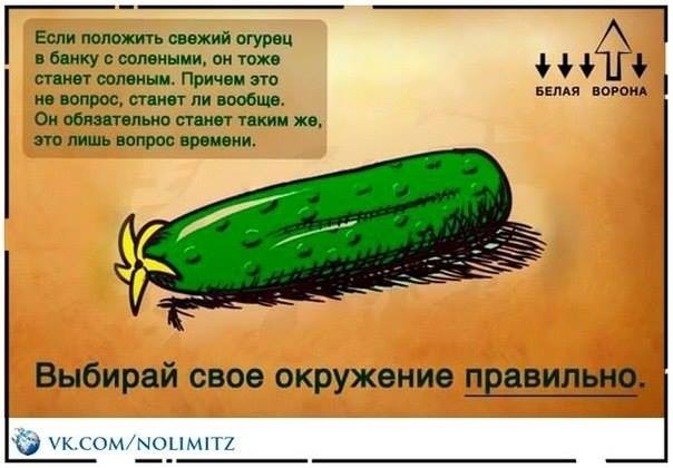 Картиночки, баянчики 17 февраля