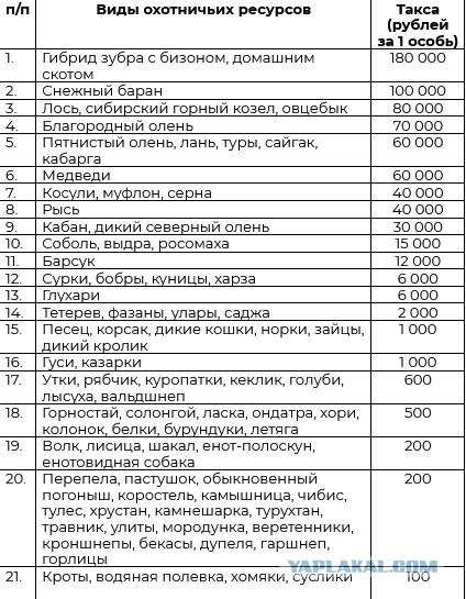 Штраф за сбитого голубя