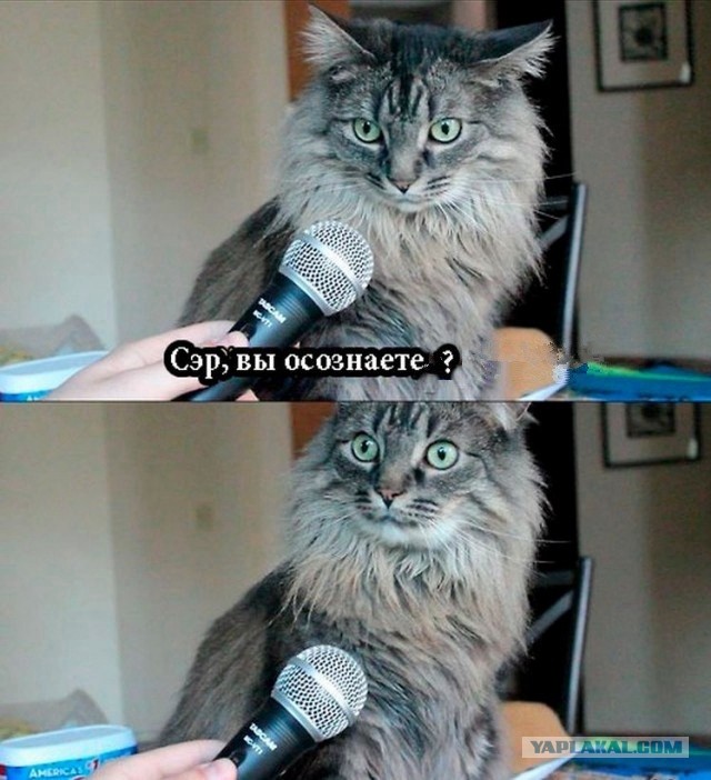 Вот это поворот!