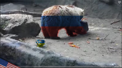 Мишутка спасает тонущую каркушу