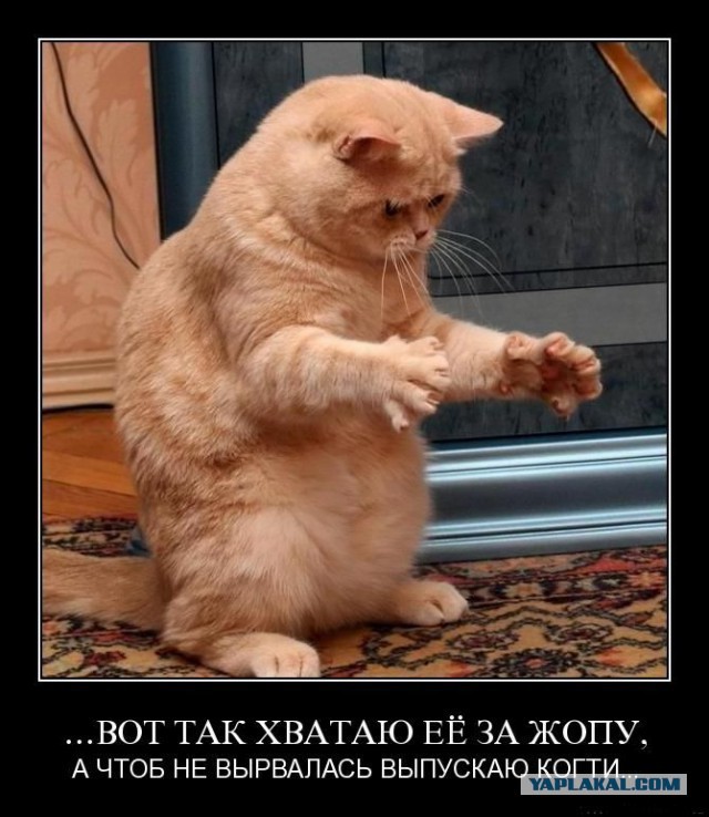 Шнуровка 80-го уровня