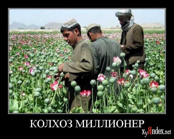 Демотиваторов пост