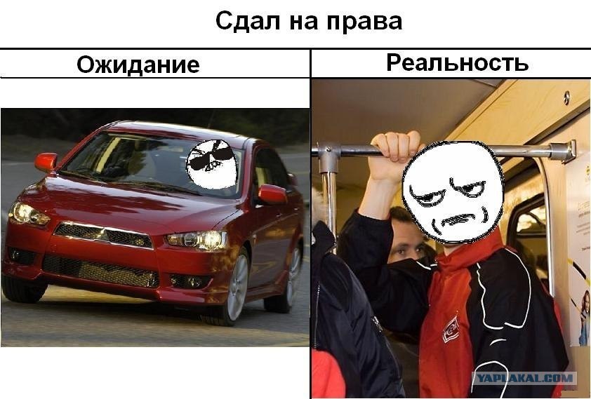 Сдать на права картинки смешные, открытки февраля