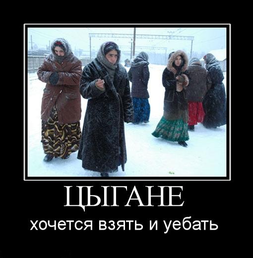 Кругом мошенники