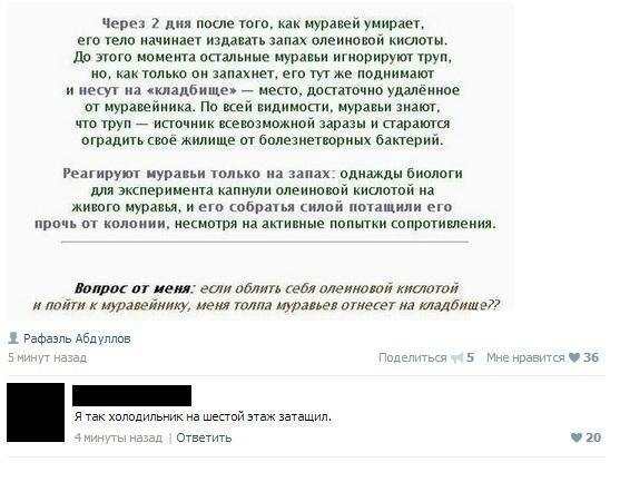 Веселости которые встретились сегодня