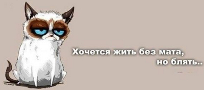 Кругом ворье!