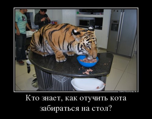 Немного демотиваторов
