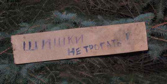 ВЫВЕСКИ, ТАБЛИЧКИ. Смешные и прикольные