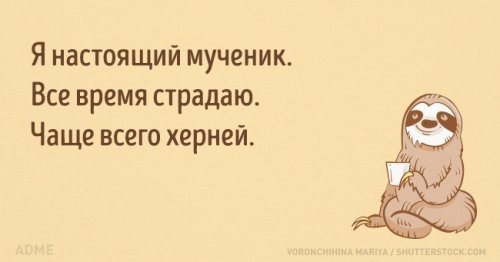 Анекдоты. Фразы