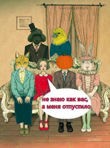 Картинки смешные и тупые