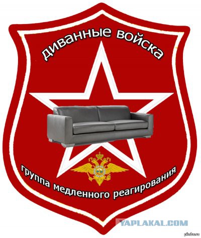 Войска интернетного СпН