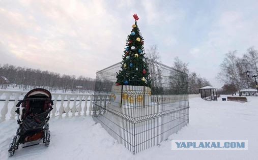 В Копейске установили Ель