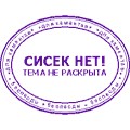 Женский день на скачках в Аскоте завершился горой мусора и пьяными драками