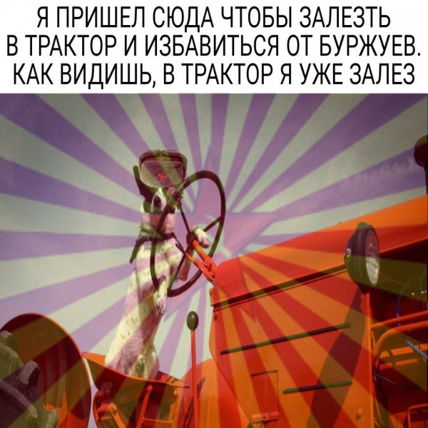 Приколы в стиле "регресс"