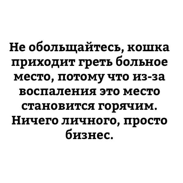 Всякая всячина