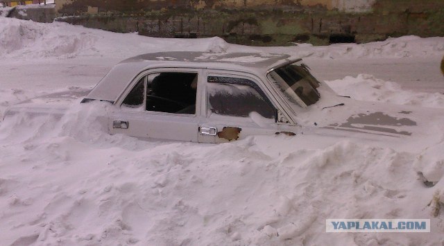 Подснежники гробы. г. Норильск