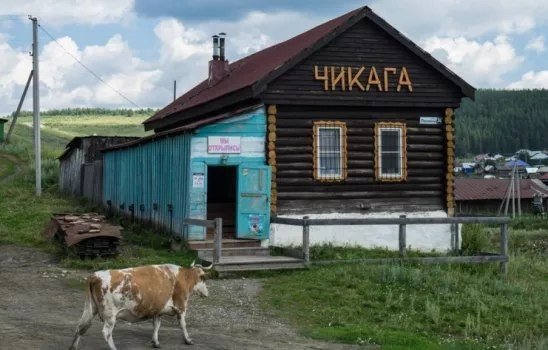 Смешные объявления, надписи и вывески