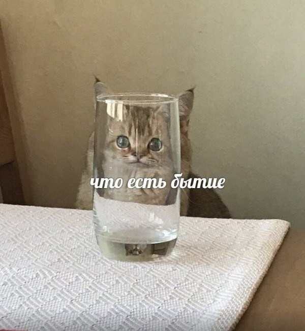 Нестандартный юмор