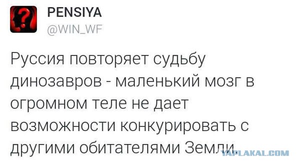Японцы успокоили жителей российских Южных Курил