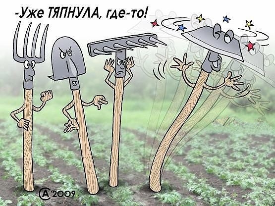 Нестандартный юмор