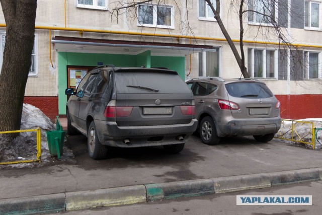 Заставка «Симпсоны» - артхаус версия