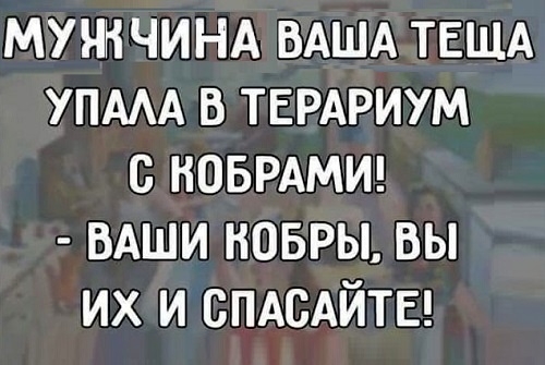 Картинки с надписями и анекдоты