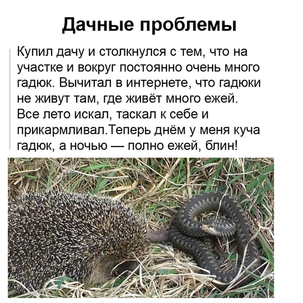 Немного картинок для настроения