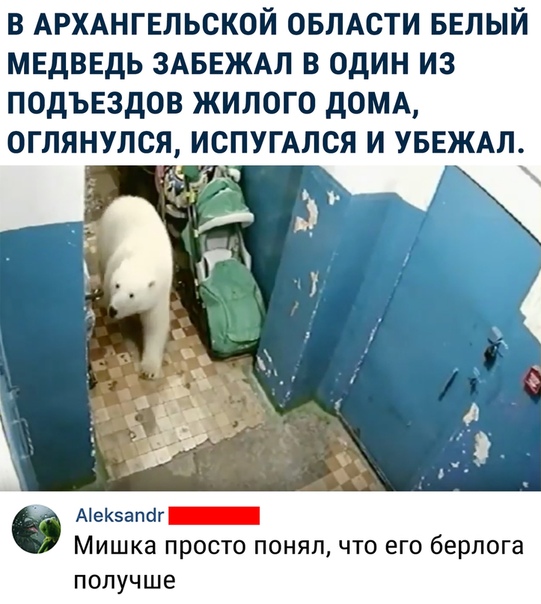 Чуток картинок 14.06.20