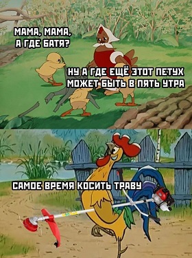 Бредзона 01.07.20