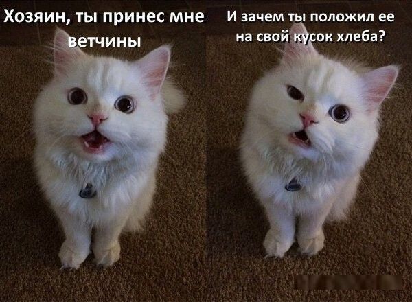 Картинки разные для поднятия настроения