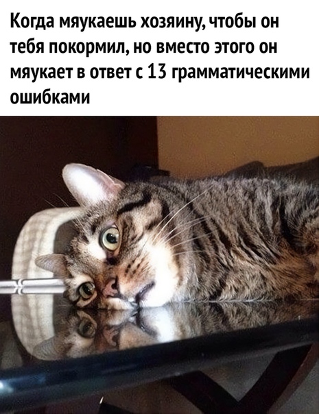 Немного картинок для настроения 05.11.20