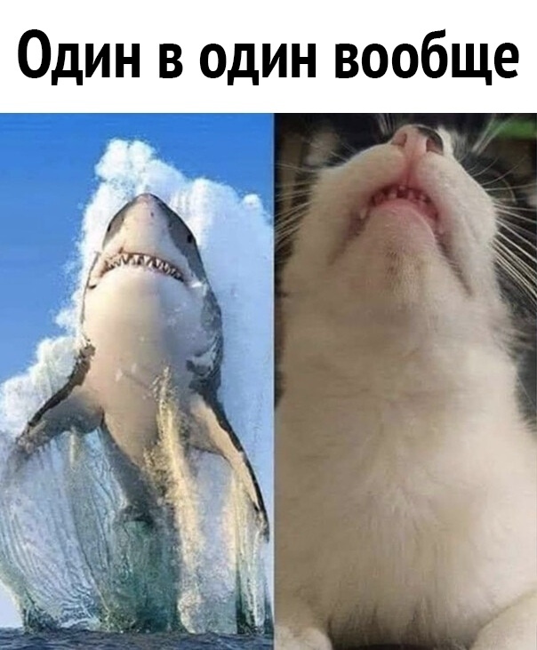 Картинки с надписями и всякие жизненные фразы
