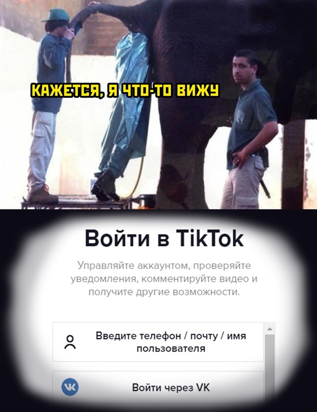 Весёлый полтишок 11.03