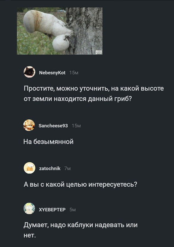 Весёлый полтишок 29.04