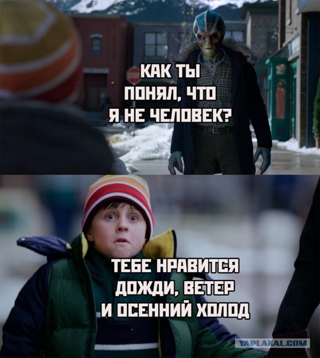 Весёлый полтишок 02.10