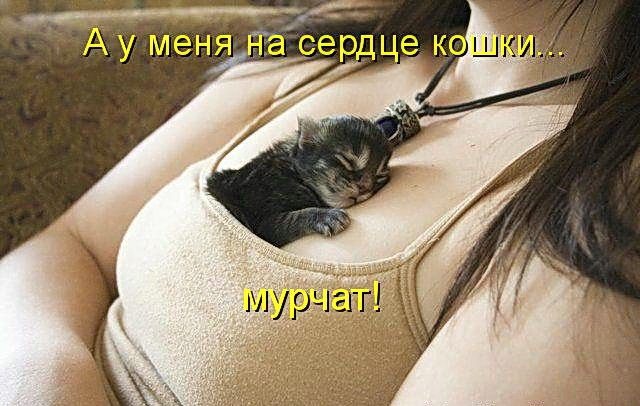 Так себе картинки 12.11.21