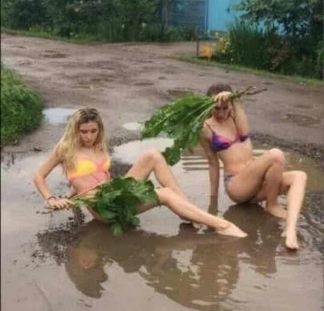Скотсети и прочие интернеты 28.01.2022